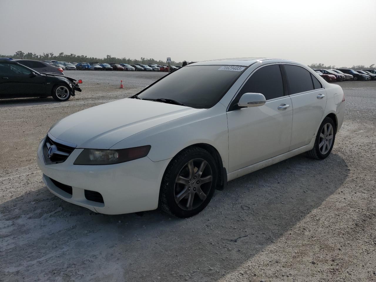 acura tsx 2005 jh4cl96805c026561