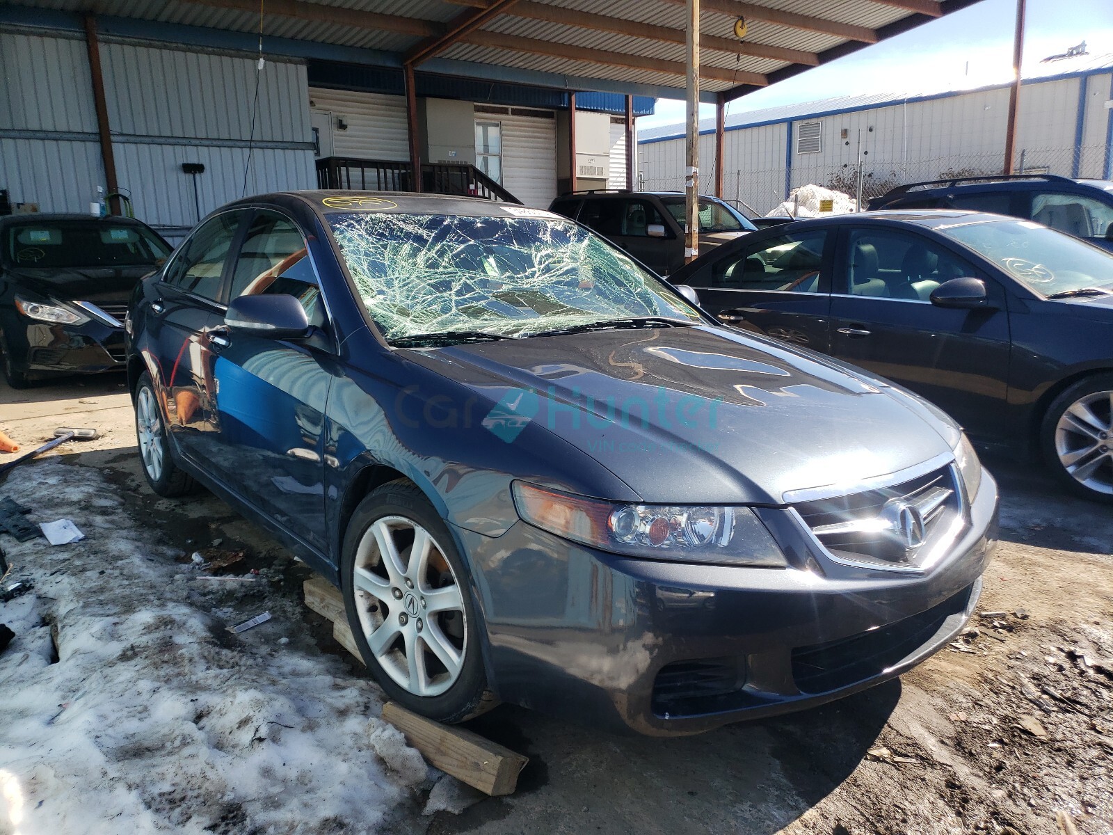 acura tsx 2005 jh4cl96815c029856