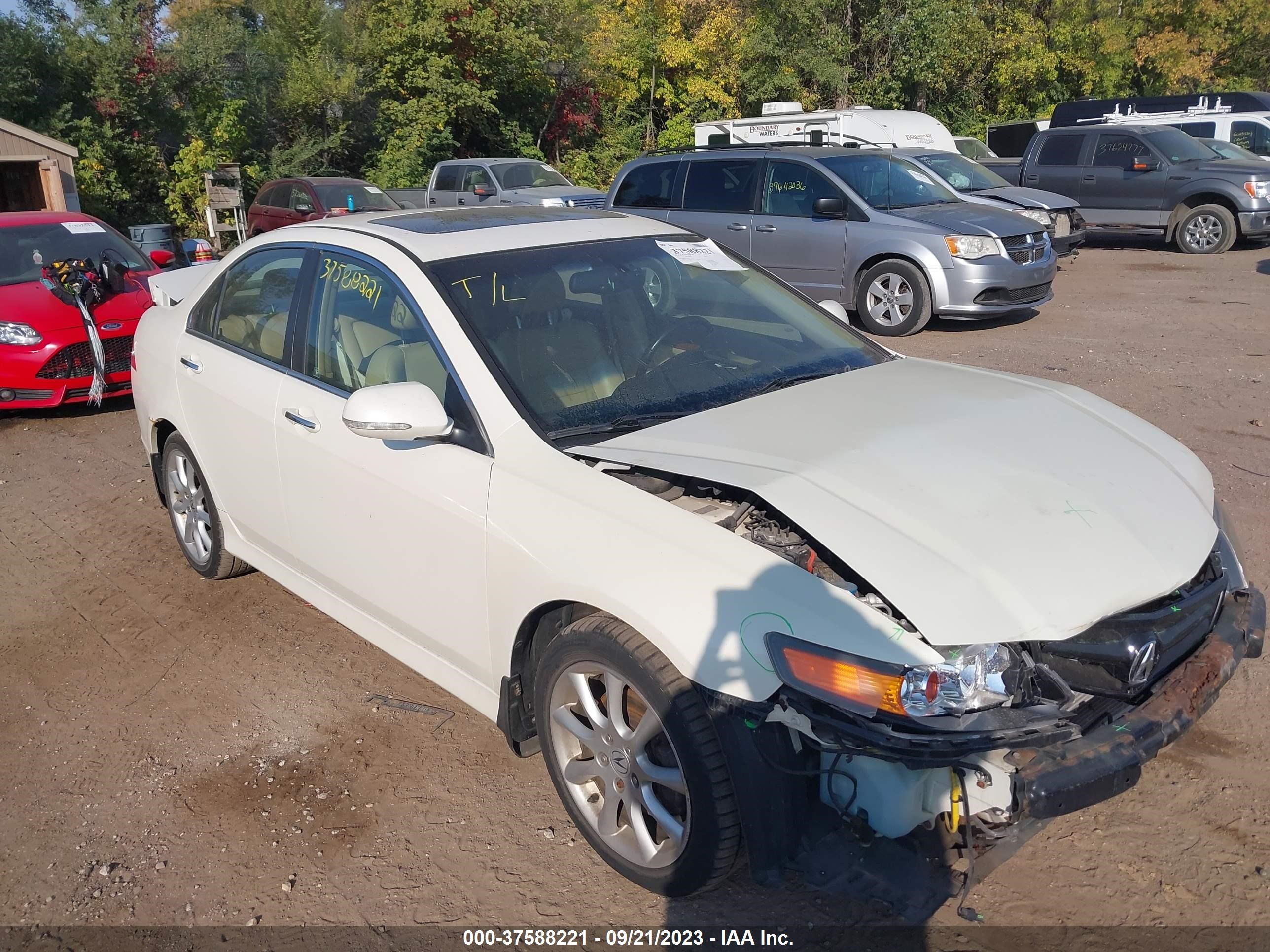 acura tsx 2006 jh4cl96816c033942