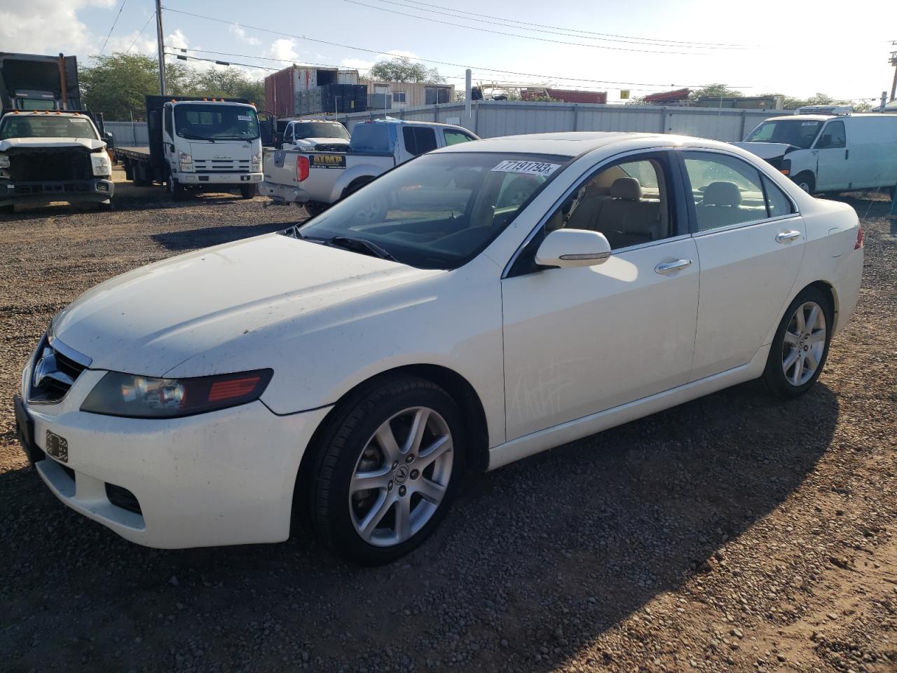 acura tsx 2005 jh4cl96825c025816