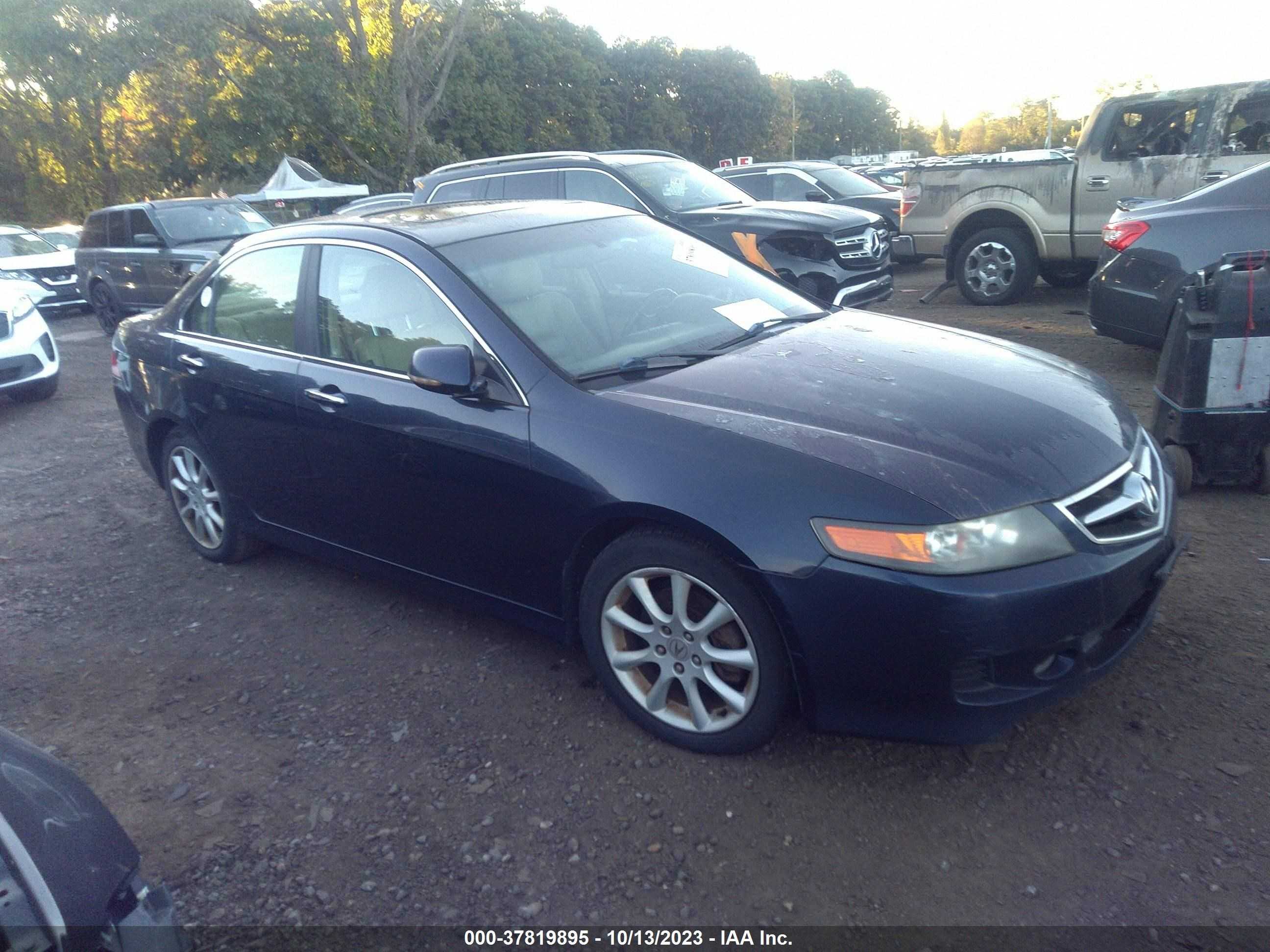 acura tsx 2006 jh4cl96836c031223