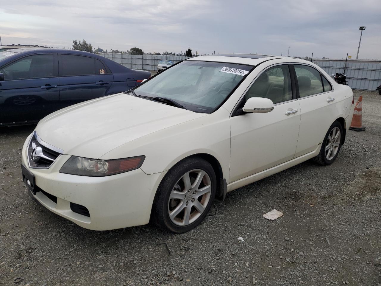 acura tsx 2005 jh4cl96855c029584