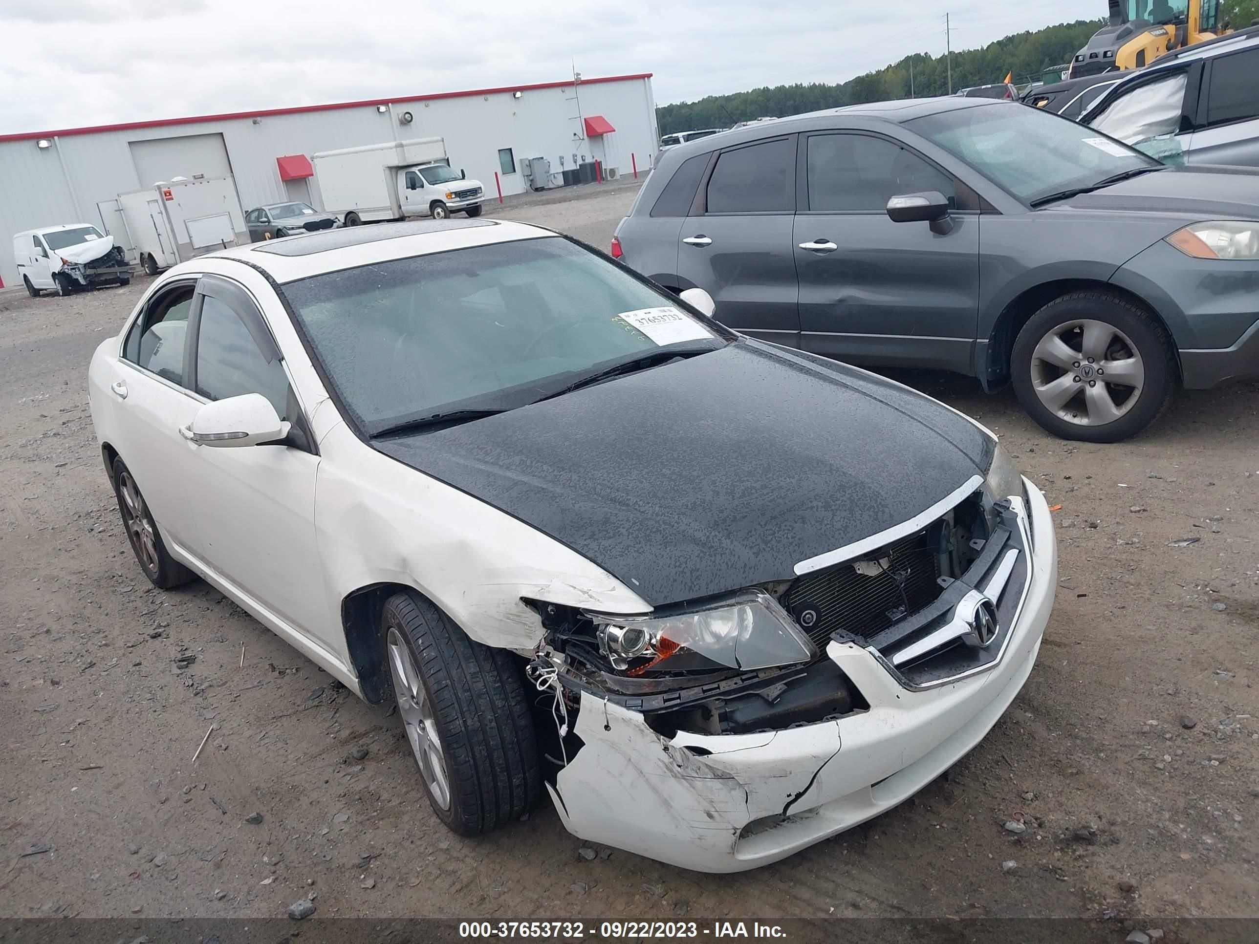 acura tsx 2005 jh4cl96855c032291