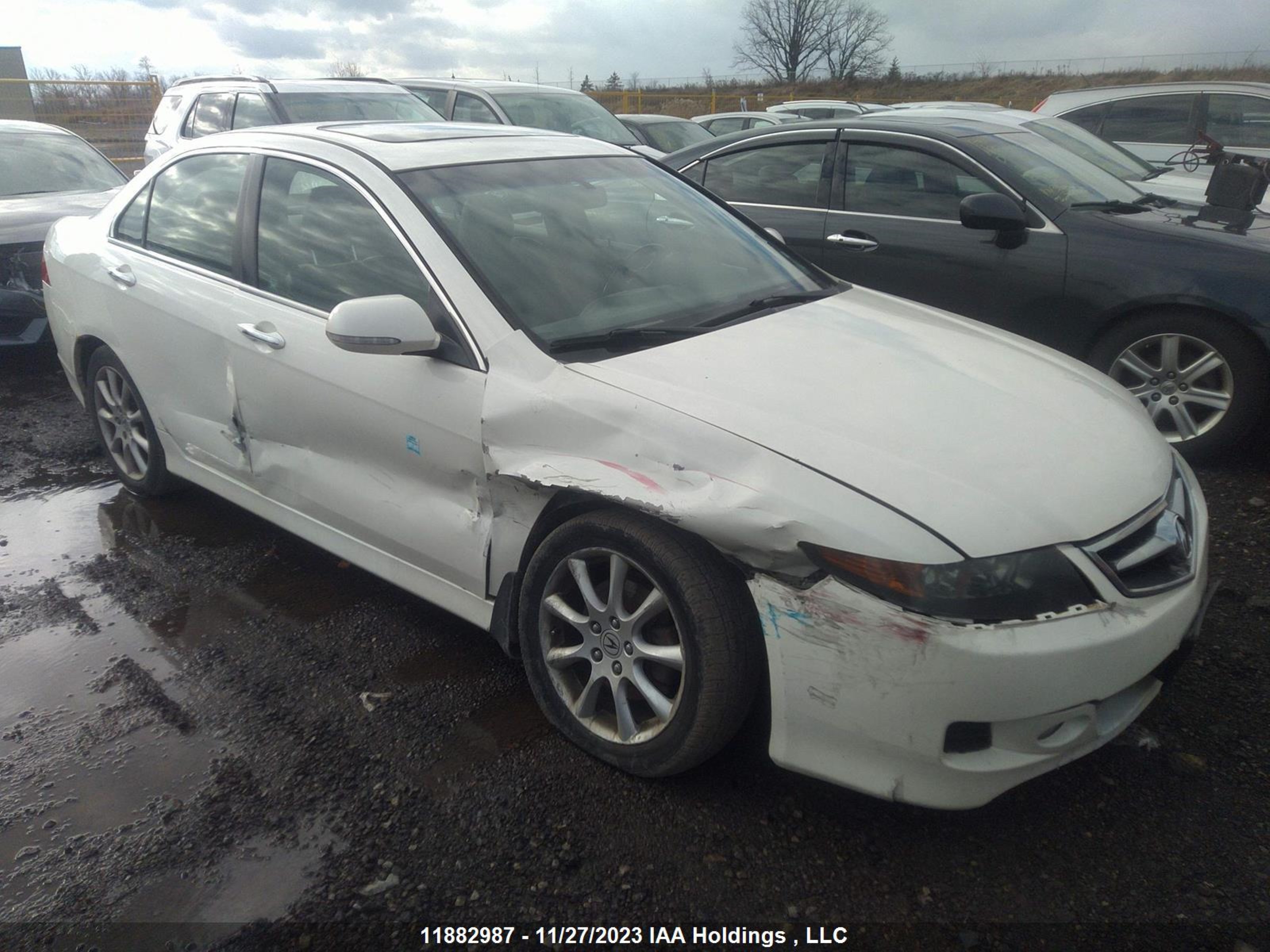 acura tsx 2007 jh4cl96857c800192