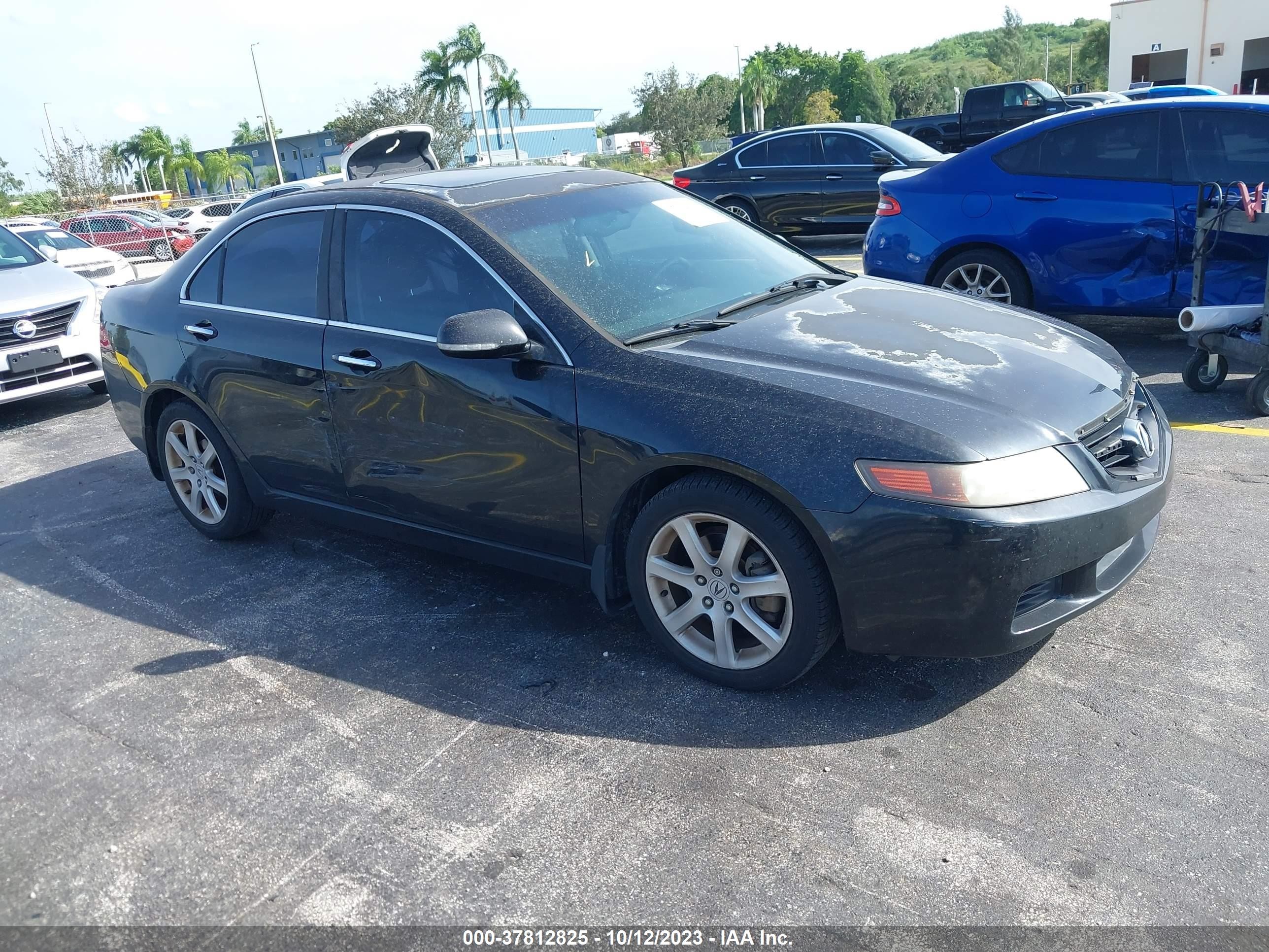 acura tsx 2004 jh4cl96864c028751