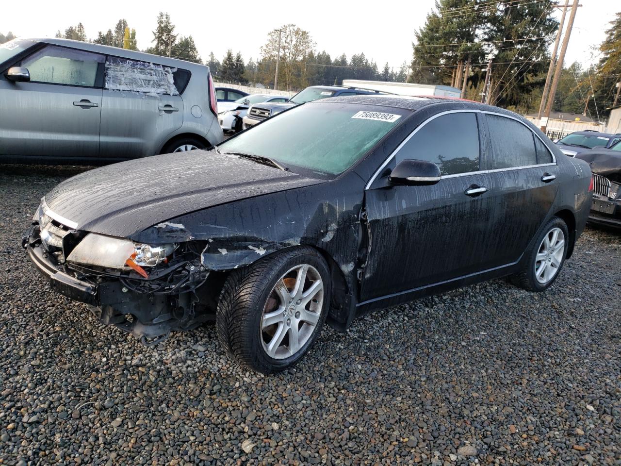 acura tsx 2005 jh4cl96865c027777