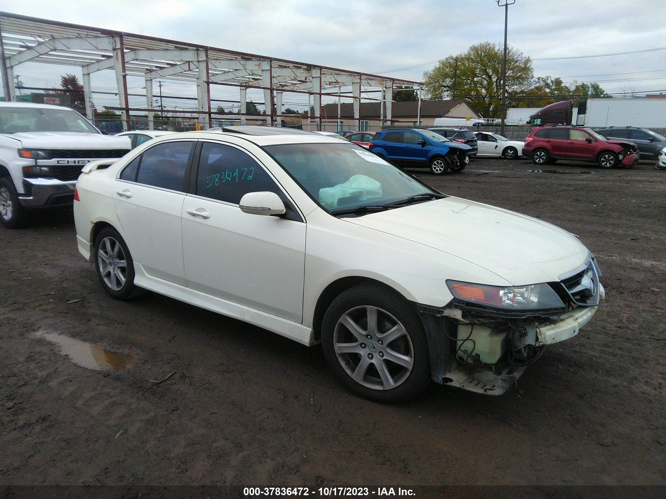 acura tsx 2004 jh4cl96874c801517