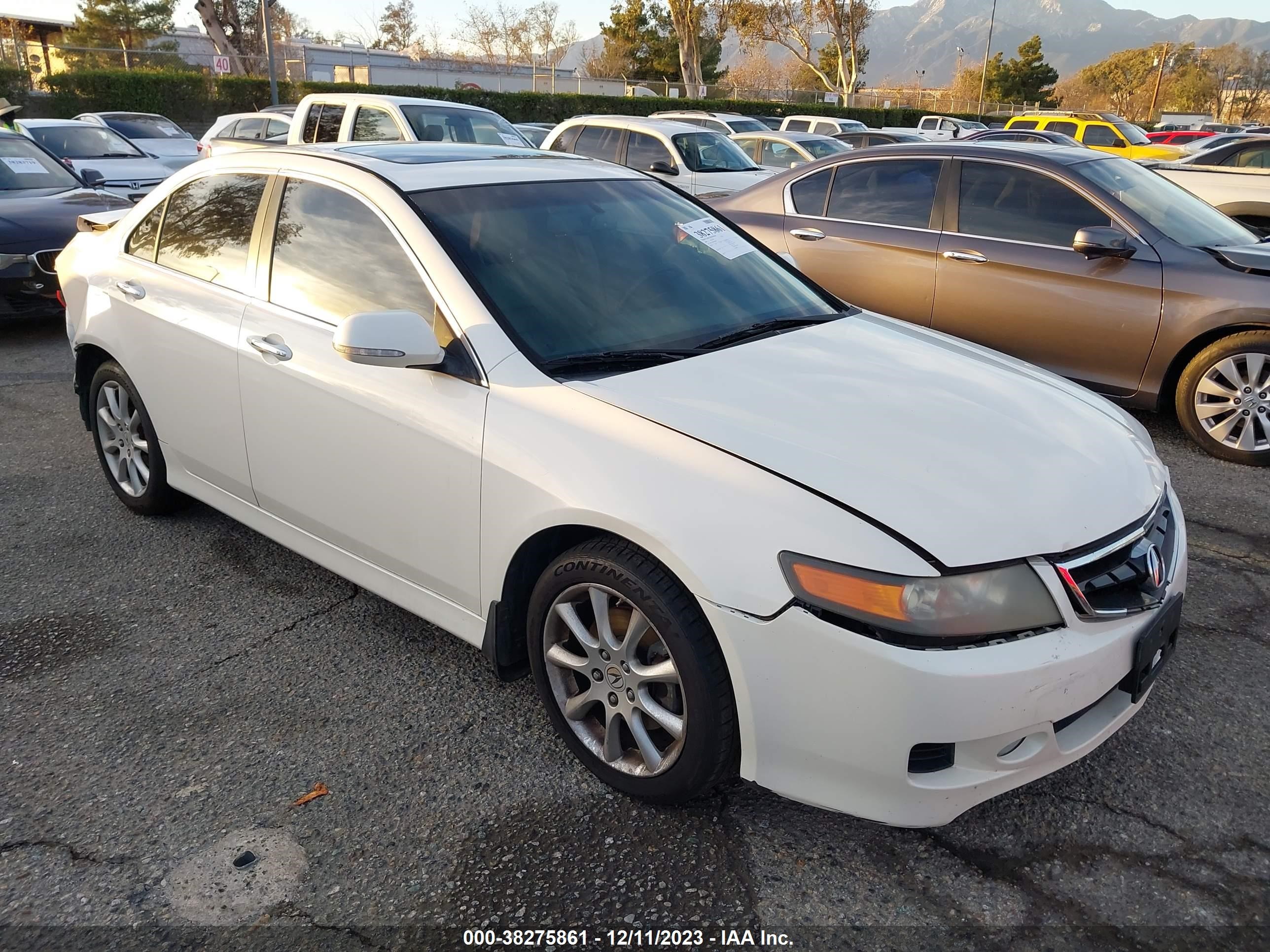 acura tsx 2008 jh4cl96888c006109