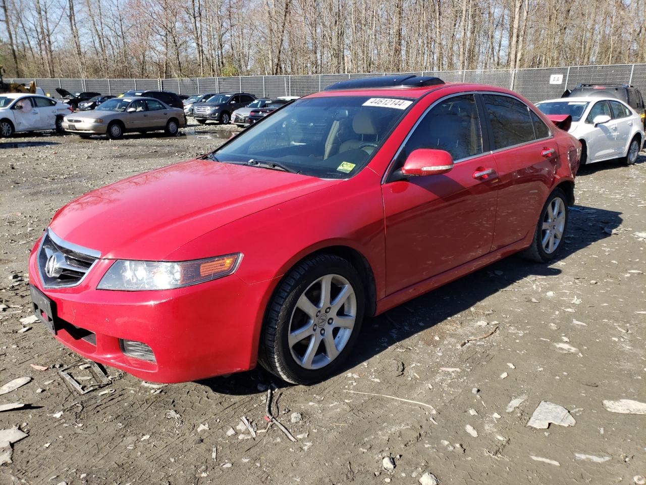 acura tsx 2005 jh4cl968x5c024266