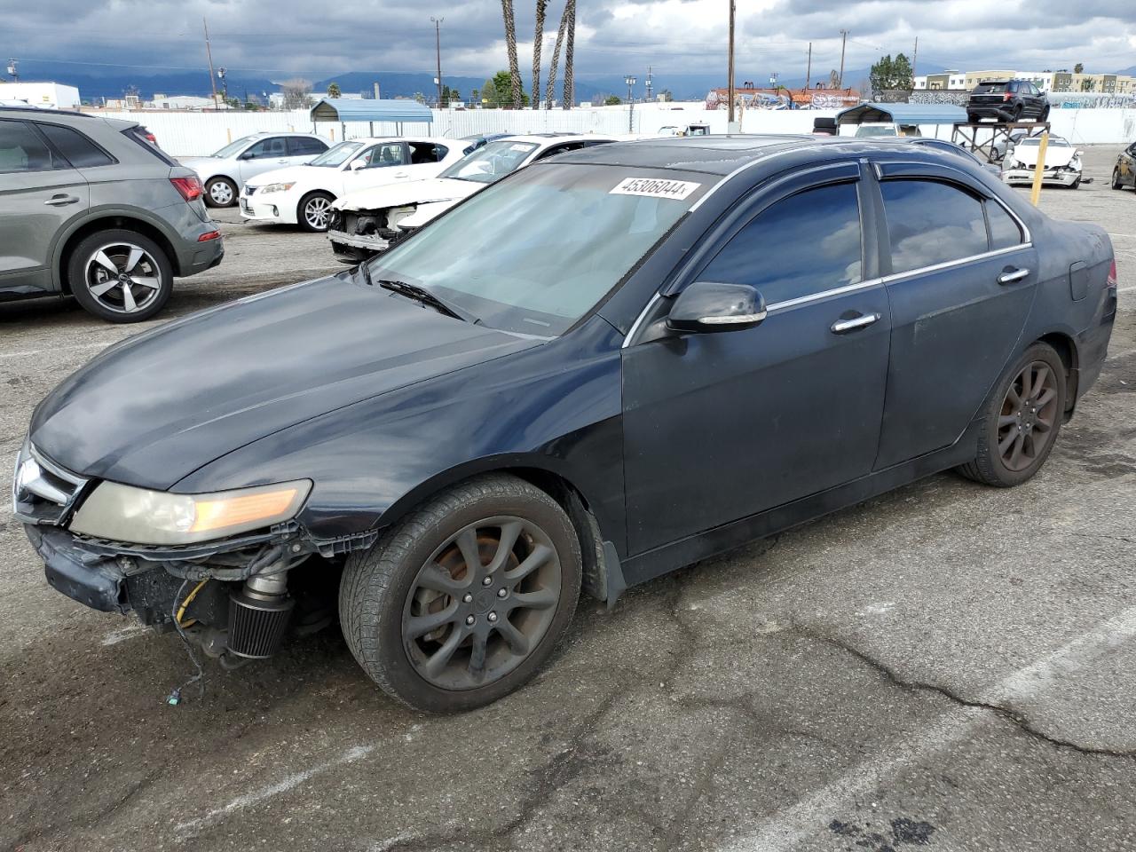 acura tsx 2006 jh4cl968x6c019991