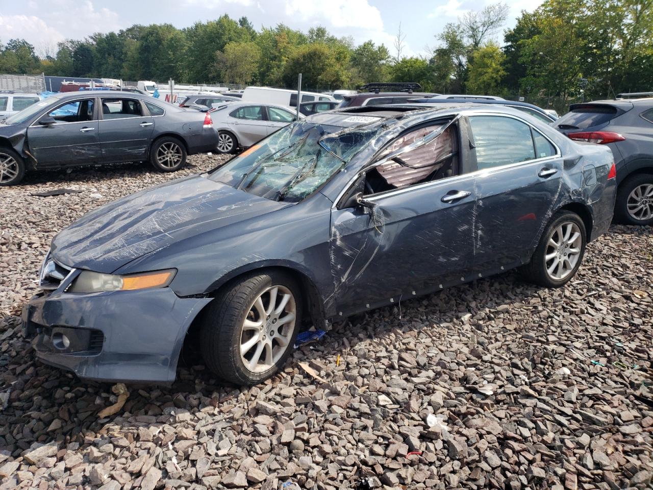 acura tsx 2006 jh4cl968x6c020459