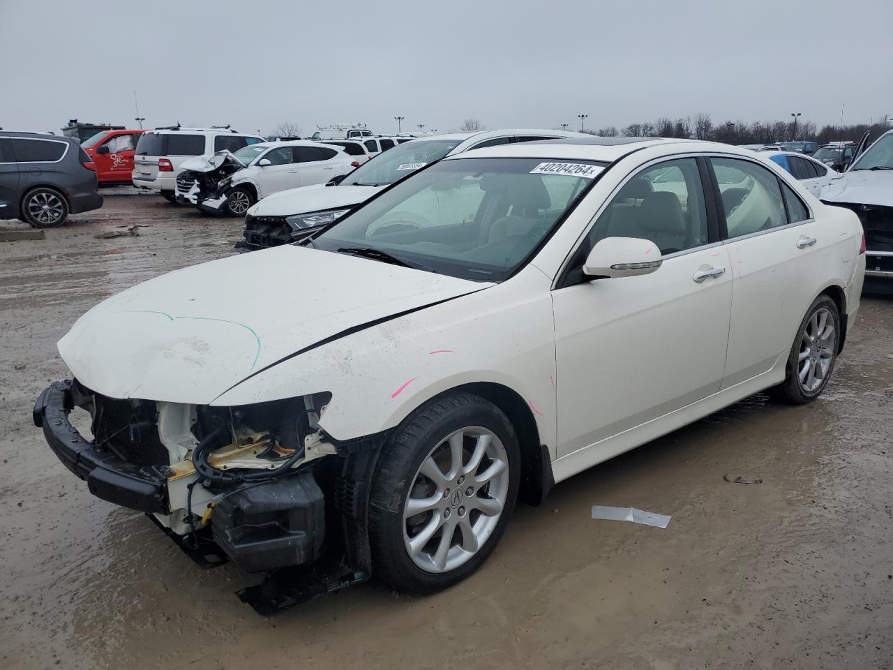 acura tsx 2006 jh4cl96906c004831