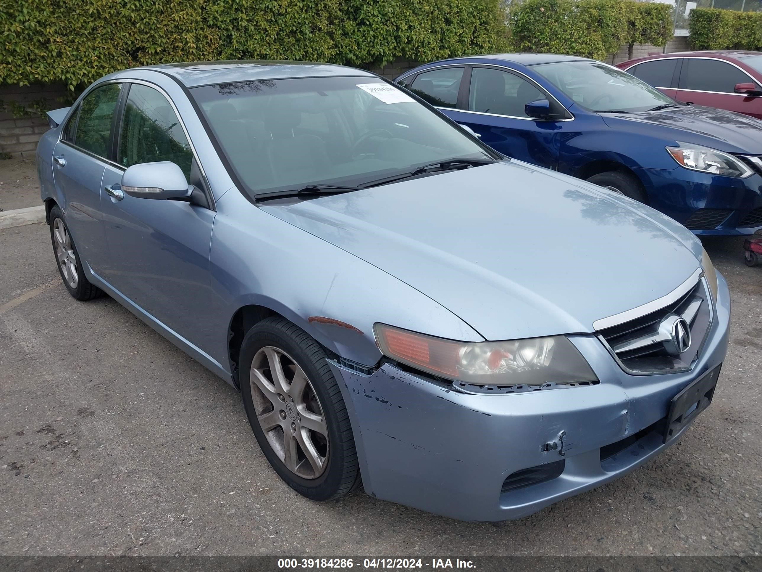 acura tsx 2005 jh4cl96925c019295