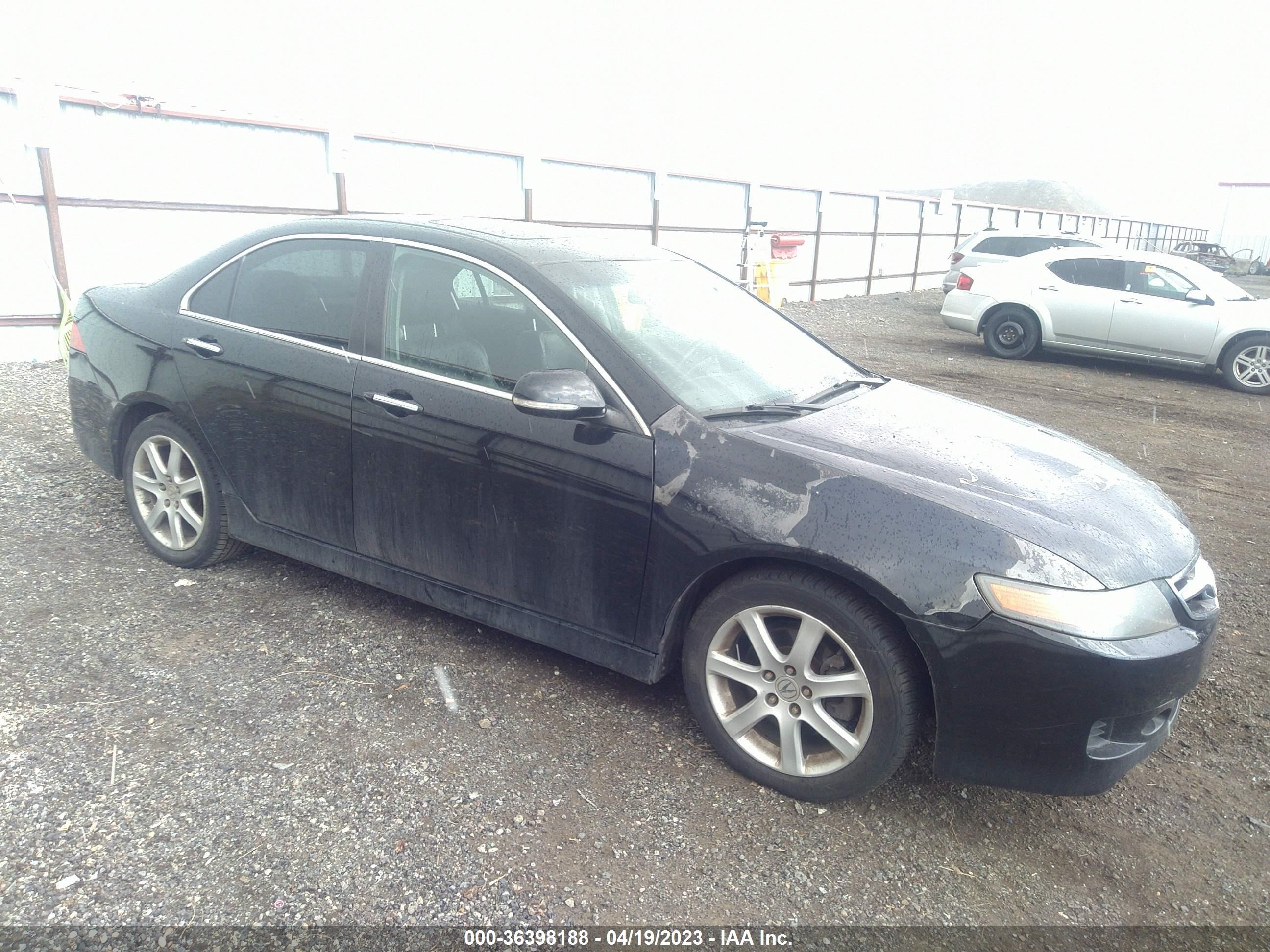 acura tsx 2006 jh4cl96946c020062