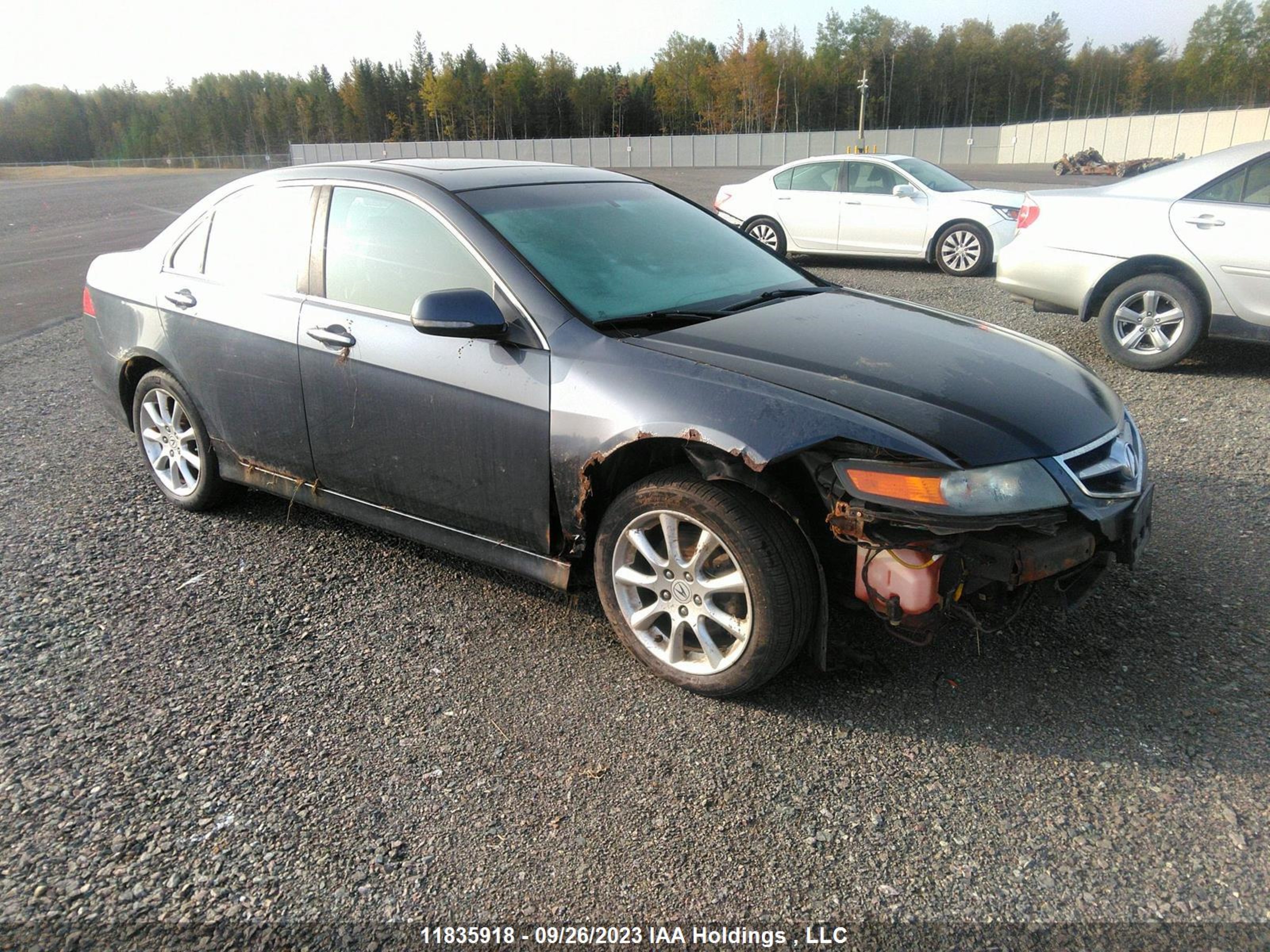 acura tsx 2007 jh4cl969x7c011626