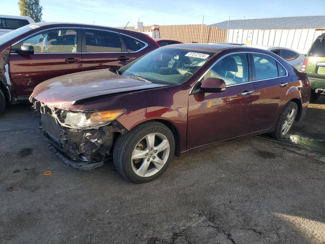 acura tsx 2009 jh4cu25619c022738