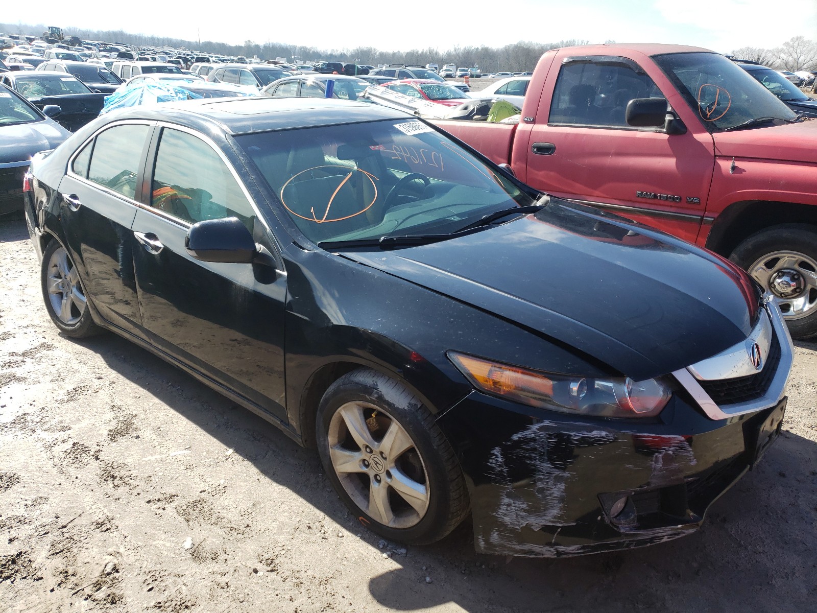 acura tsx 2009 jh4cu26679c031118