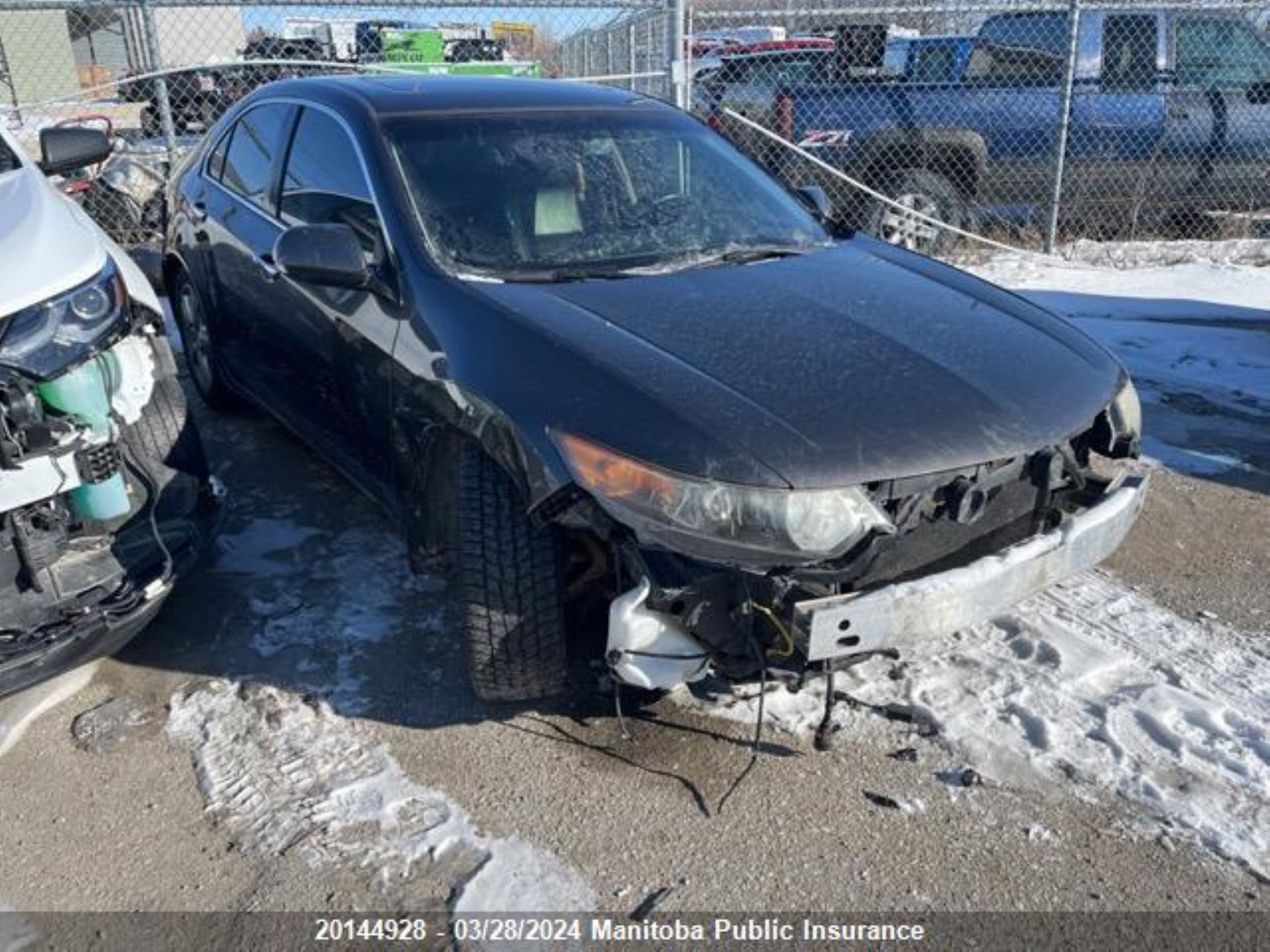 acura tsx 2010 jh4cu2e62ac800775