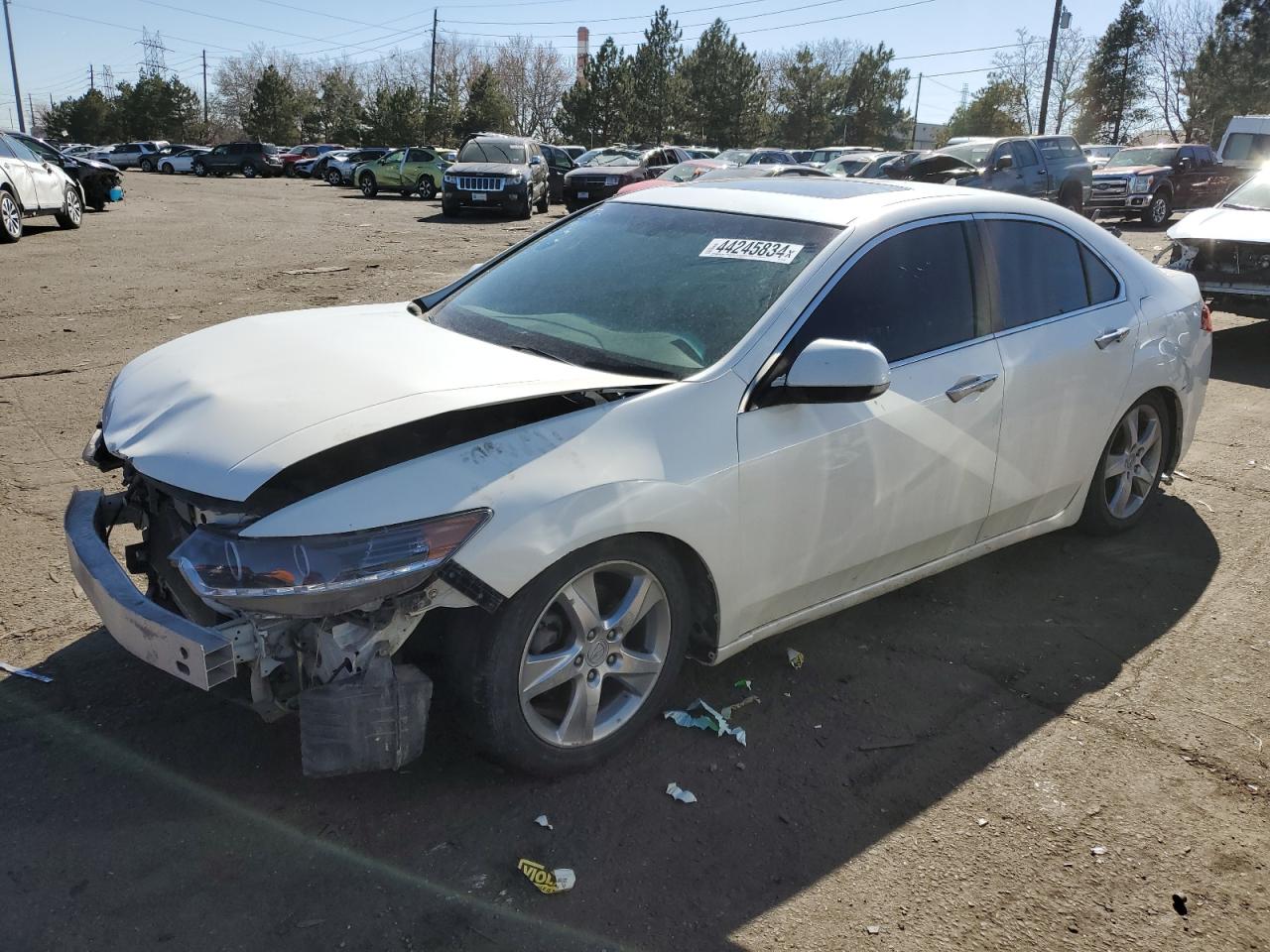 acura tsx 2011 jh4cu2f6xbc000094