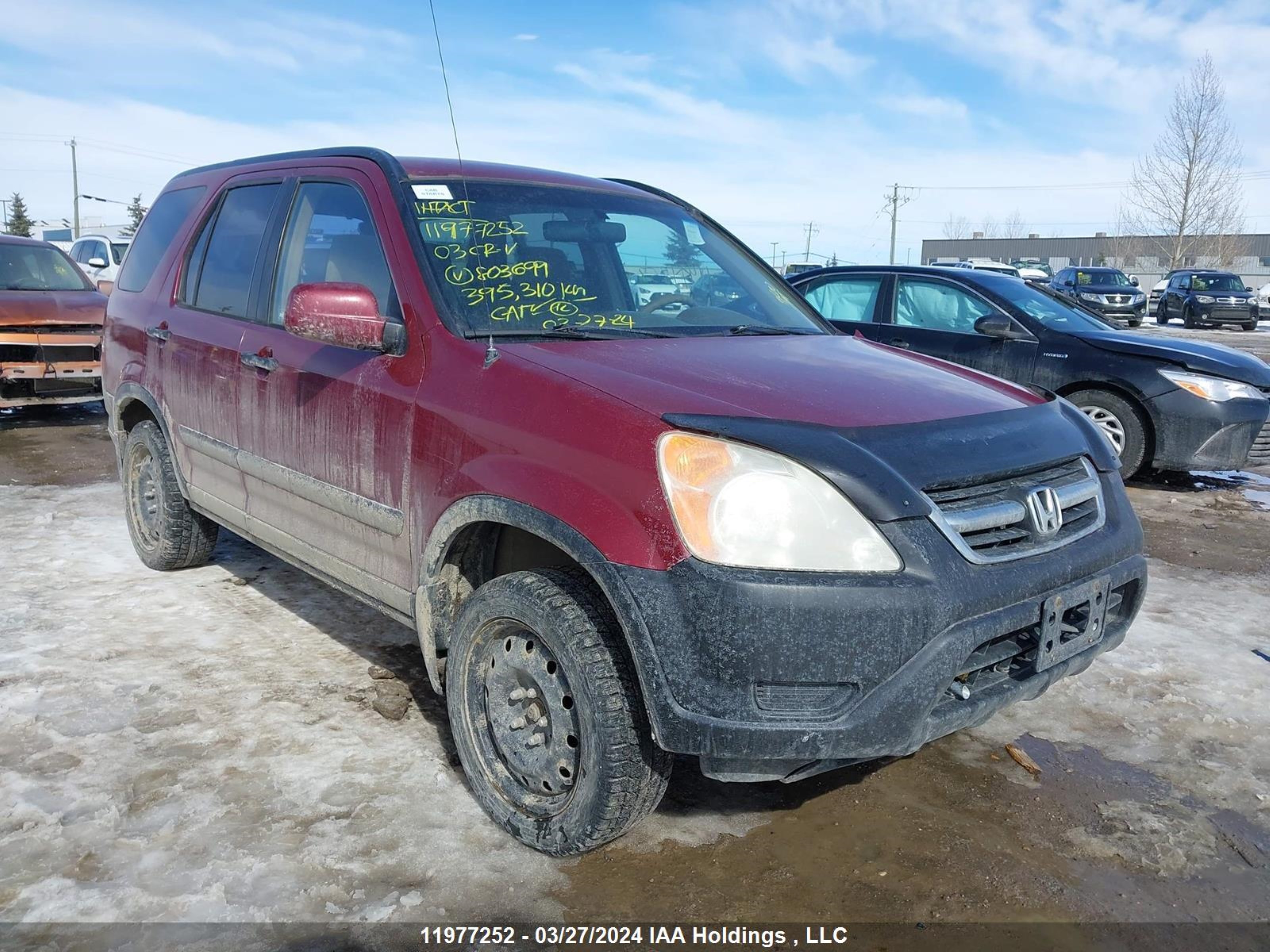 honda cr-v 2003 jhlrd78803c803699