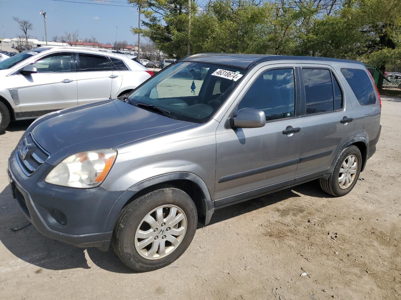 honda cr-v 2005 jhlrd78805c052249