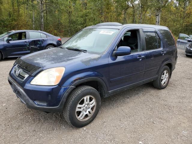 honda cr-v ex 2004 jhlrd78914c800417