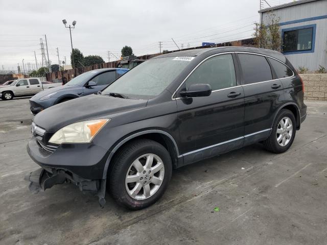 honda cr-v exl 2009 jhlre38709c003765