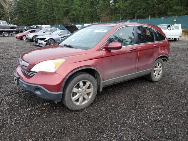 honda cr-v exl 2009 jhlre48719c013744