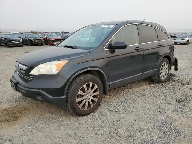 honda cr-v exl 2007 jhlre48767c086735