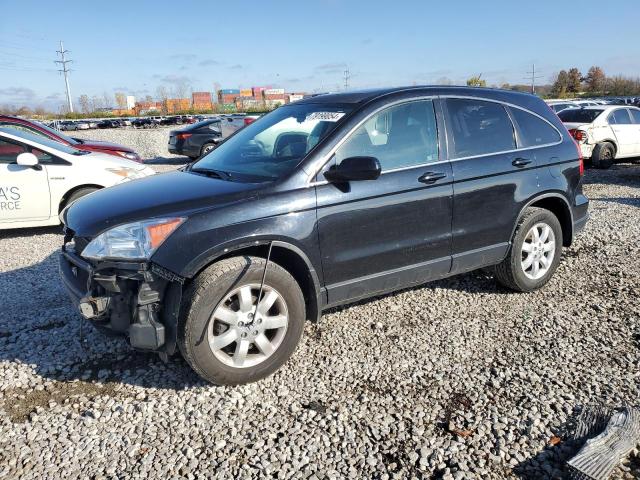 honda cr-v exl 2007 jhlre48777c055770