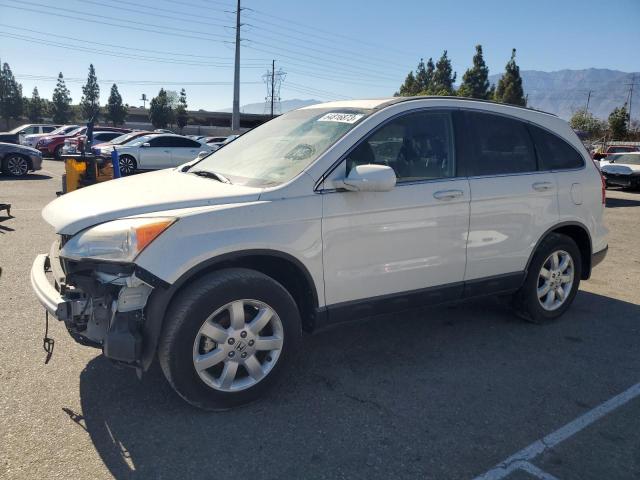 honda cr-v exl 2007 jhlre48787c013785