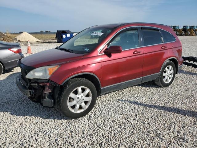 honda cr-v exl 2007 jhlre48787c107021