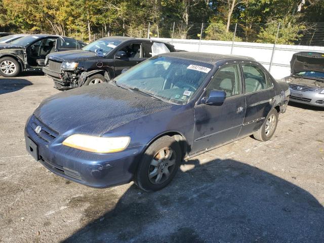 honda accord ex 2002 jhmcg66062c007019