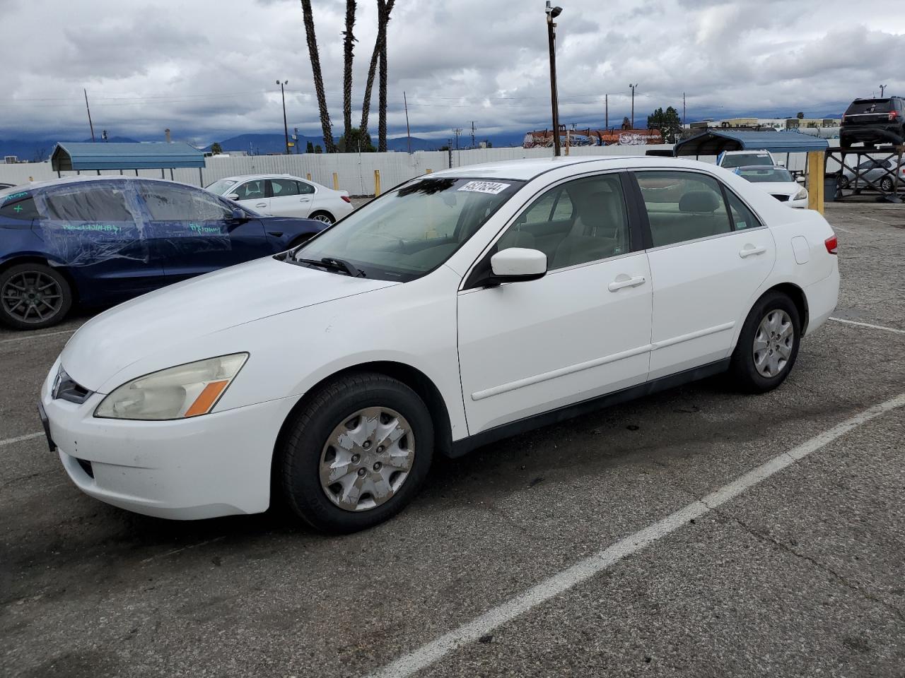 honda accord 2003 jhmcm56363c065954