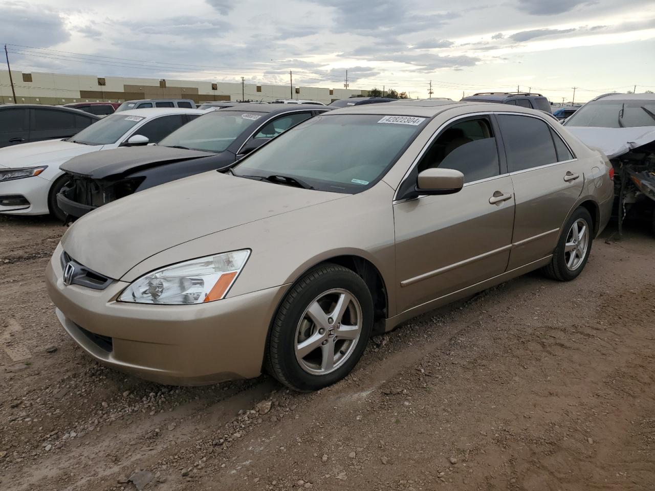 honda accord 2003 jhmcm56613c085605