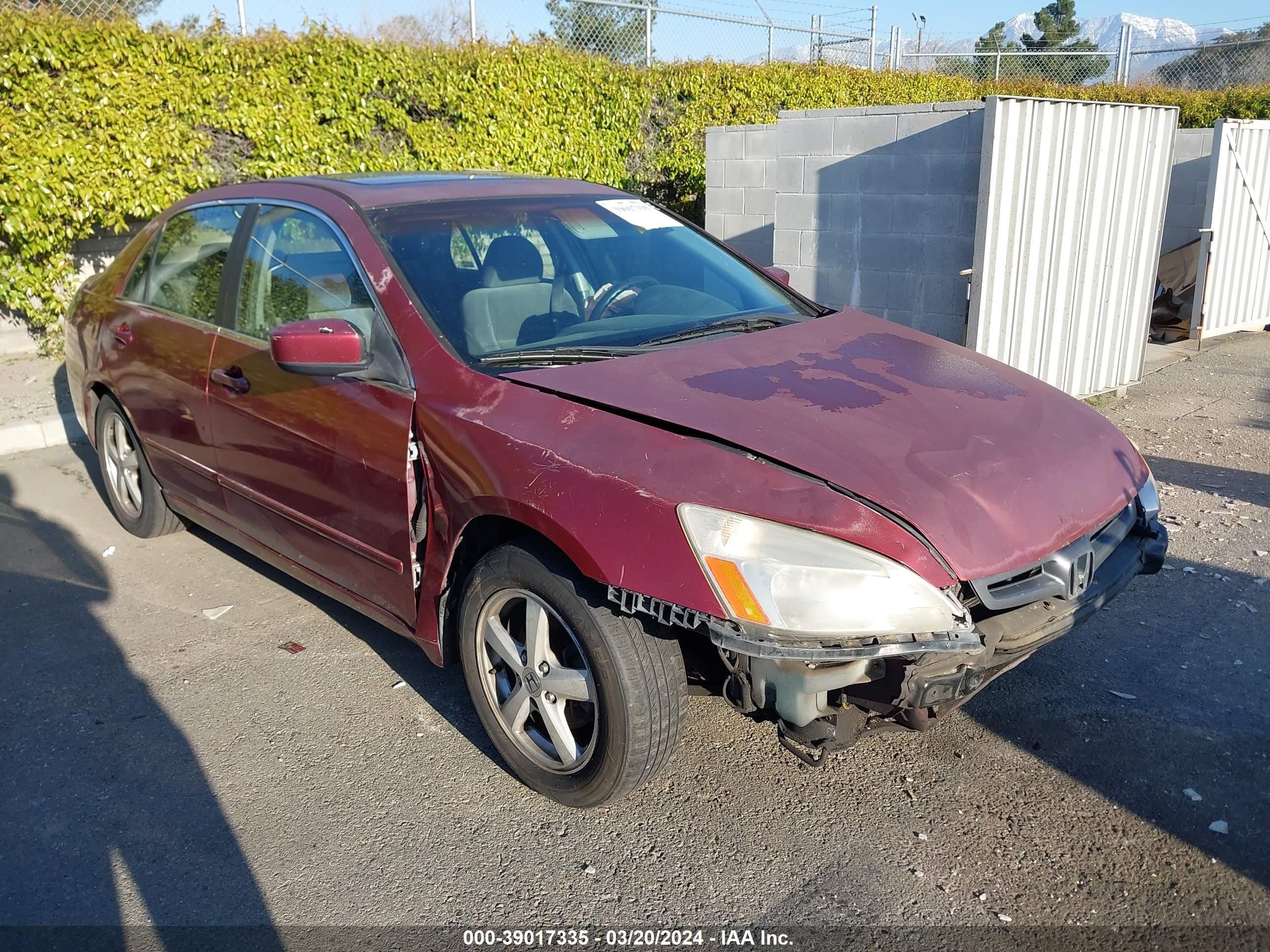 honda accord 2004 jhmcm56664c032433