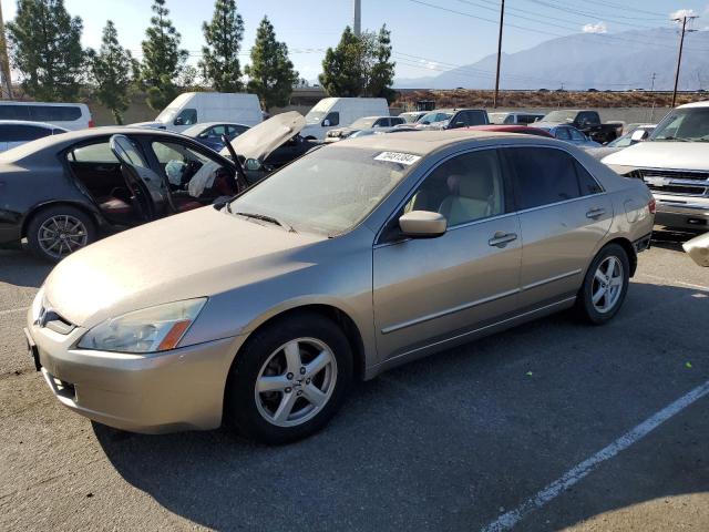 honda accord ex 2004 jhmcm56834c007801