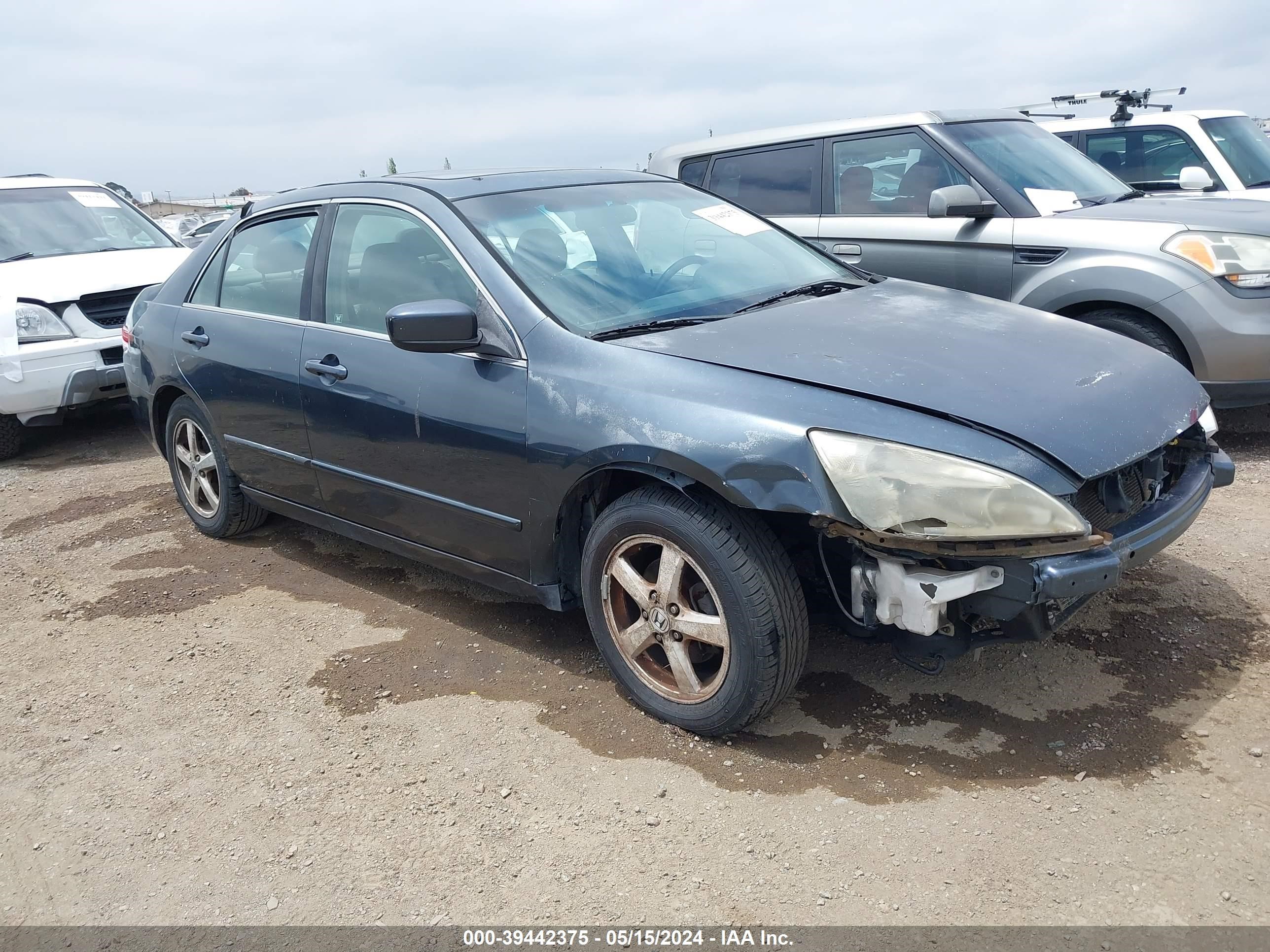 honda accord 2004 jhmcm56834c027885