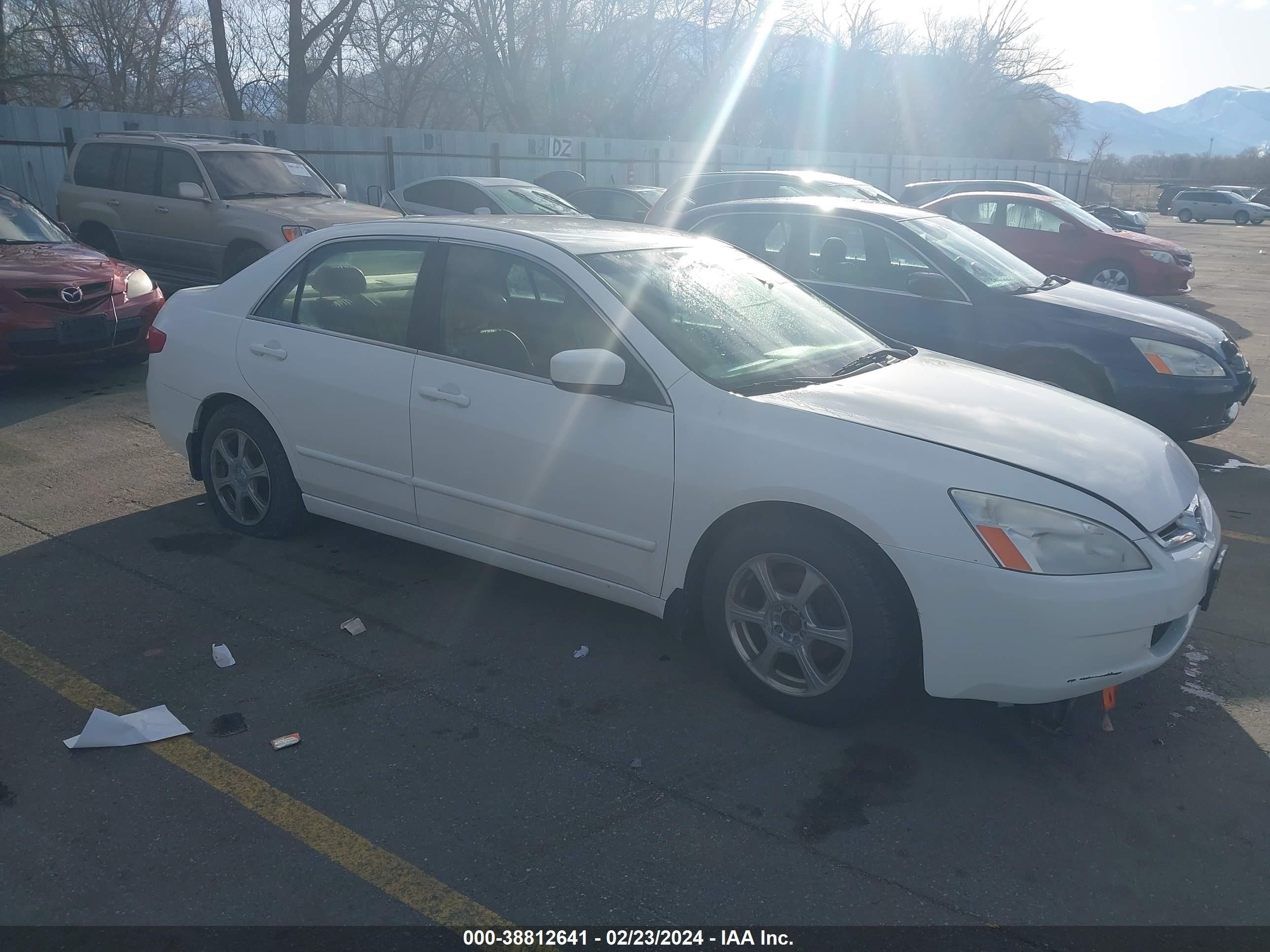 honda accord 2005 jhmcn364x5c009481