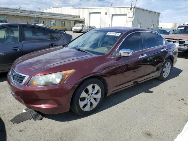 honda accord 2008 jhmcp26718c010845