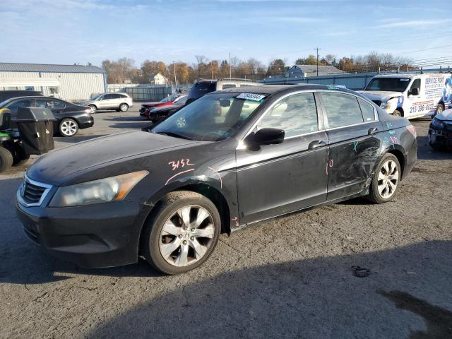 honda accord exl 2009 jhmcp26809c015898