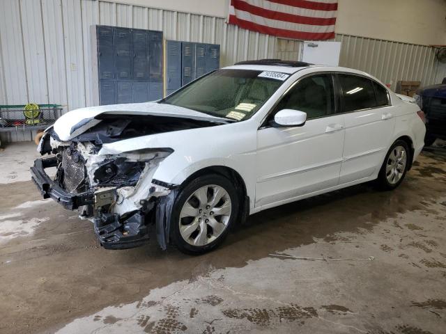 honda accord exl 2008 jhmcp26828c022706