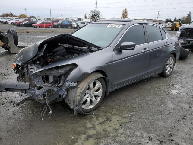 honda accord exl 2009 jhmcp26889c000811