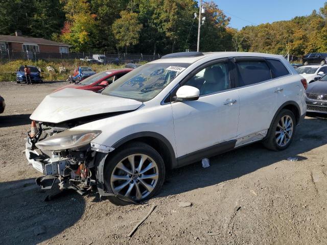 mazda cx-9 grand 2014 jm3tb2dvxe0428620