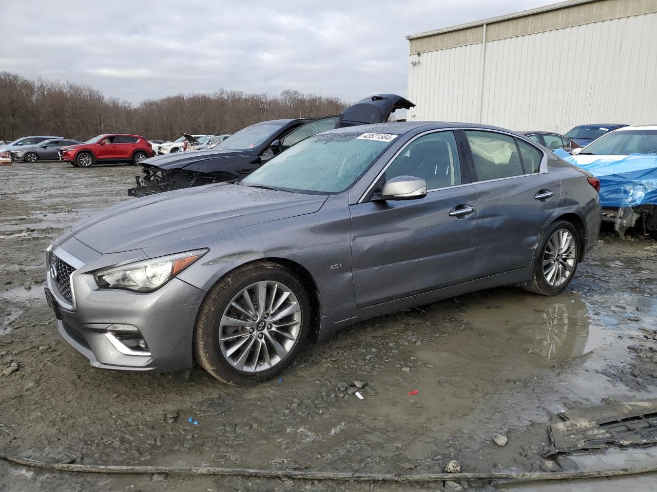 infiniti q50 2019 jn1ev7ar9km552415