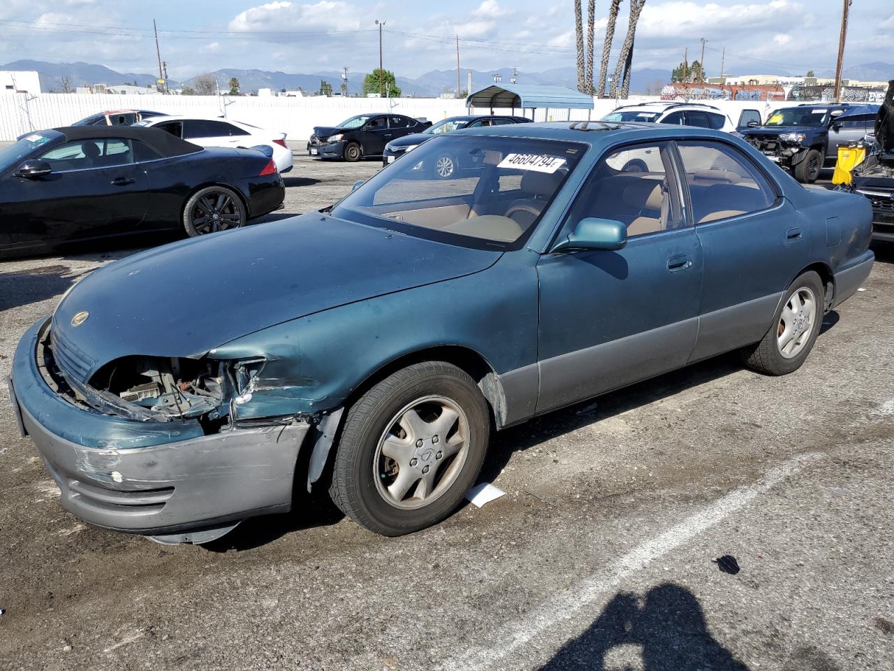 lexus es 1996 jt8bf12gxt0156492