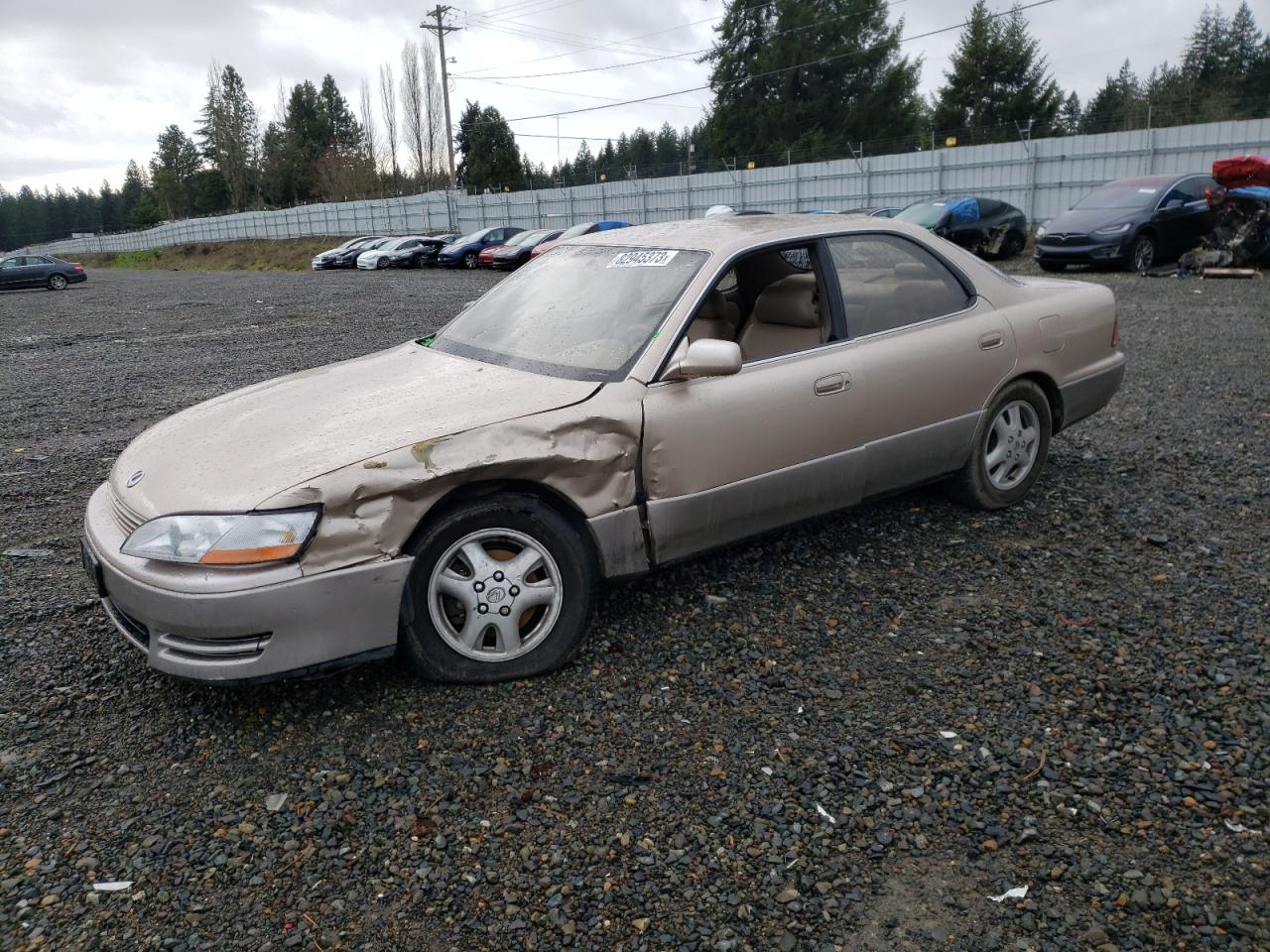 lexus es 1994 jt8gk13t3r0002390