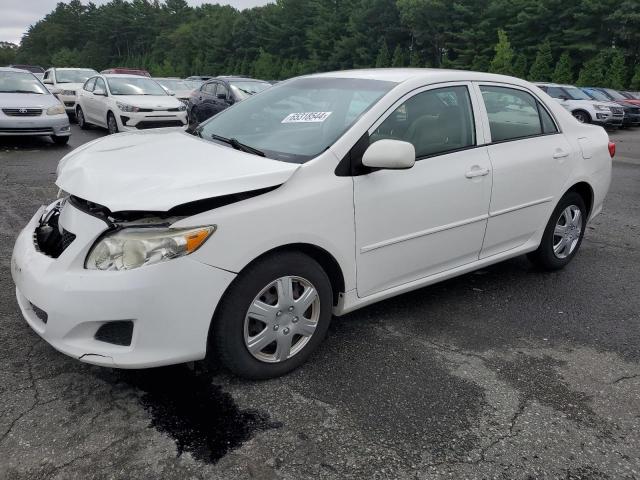 toyota corolla ba 2009 jtdbl40e39j018552