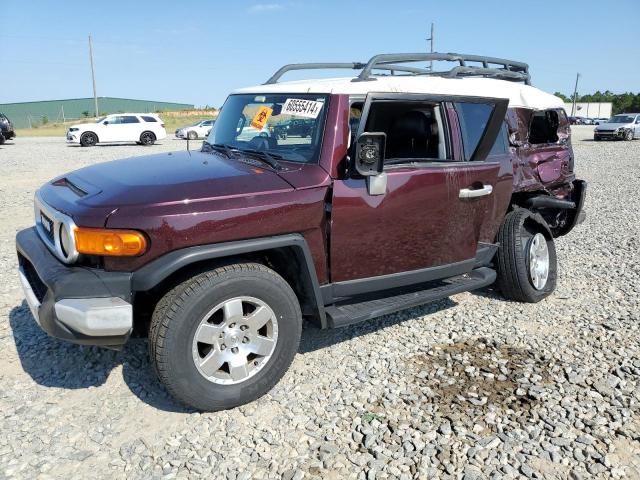 toyota fj cruiser 2007 jtebu11f270005910