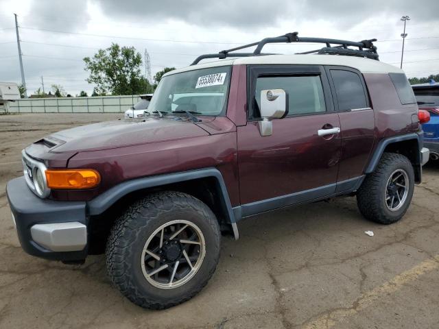 toyota fj cruiser 2007 jtebu11f970024275